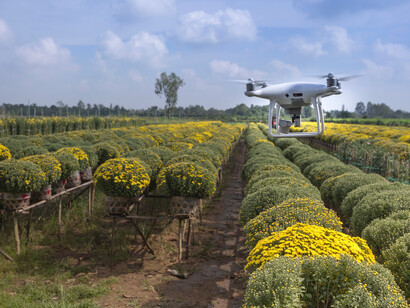 Drone sobrevoa campo para fotografar a qualidade das plantas 