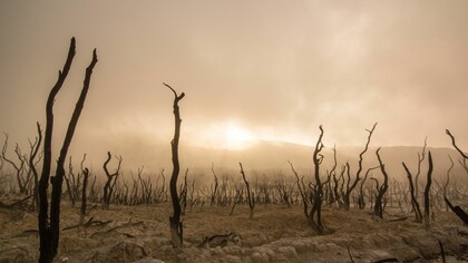 La desertización de ciertas zonas planetarias es una de las consecuencias más graves del cambio climático