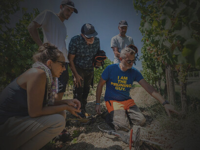 Vine master pruners. Di recente l’attività dei vine master ha visto un importante riconoscimento in occasione del 55° Vinitaly di Verona