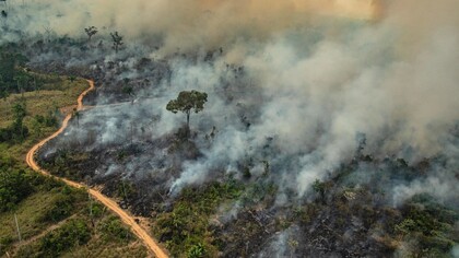 As queimadas na Amazônia emergem como um grave desafio ambiental, contrapondo a imagem de liderança verde atribuída ao Brasil. Foto: Victor Moriyama/Greenpeace