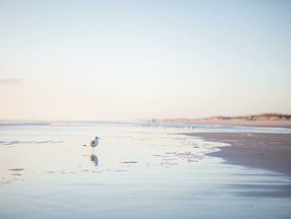 Mare e serenità. Quell’inconfondibile odore di mare che le persone si portavano addosso mi fece rivalutare quel posto, lo guardai sotto una luce diversa. L’avevo sempre e solo considerato un rifugio dal mondo ma in fondo non era così male per una vita serena