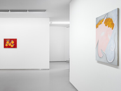Sarah Bogner, Fallende früchte, ausstellungsansicht. Mit freundlicher genehmigung der Galerie Bernd Kugler
