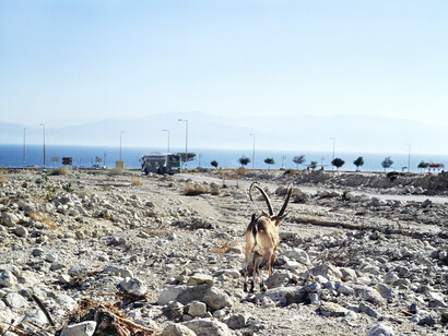 Benyamin Reich, o.T.(Israel) Fotografie 80 x 80 cm Courtesy of artist and Galerie Voss