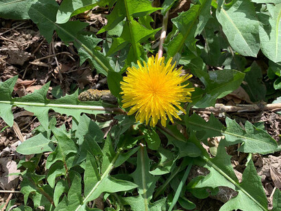 Obiettivo benessere. Courtesy of Palazzo Comunale