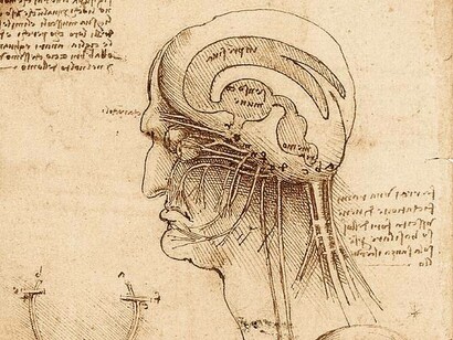 Lo schizzo di Leonardo Da Vinci del cervello e del cranio umano, 1510