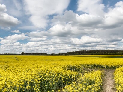 Comunidad Valenciana y una agricultura que mira hacia el futuro