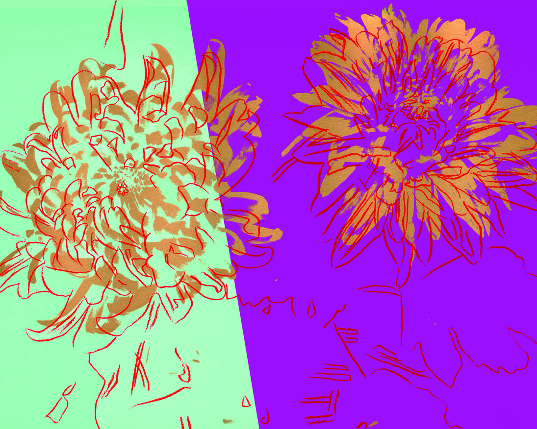 Andy Warhol, Kiku, Screen print on paper cm 27,9x20,6 c.a..1983-84