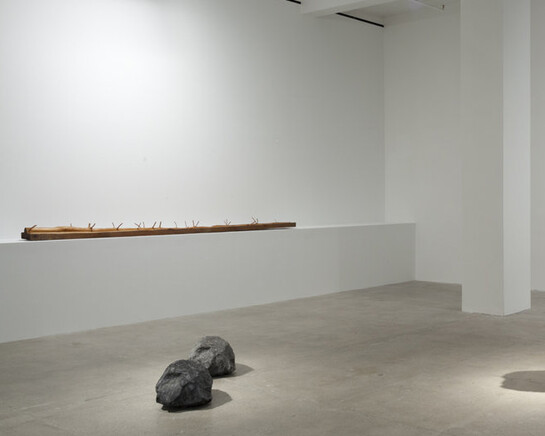 Giuseppe Penone. Courtesy of Marian Goodman Gallery