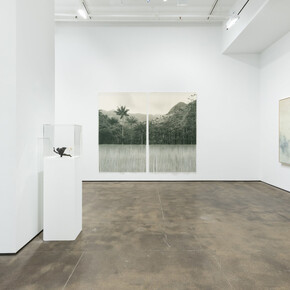 Ana González, Bruma, exhibition view. Courtesy of Sean Kelly