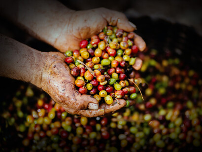 Dharma: la sintonía o estar en frecuencia con esa energía implica ser expansivo y disciplinado a la vez