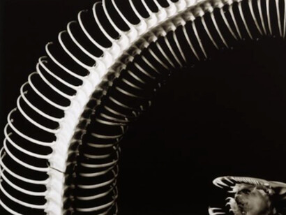 In the Absence of Color. Courtesy of Hollis Taggart Galleries