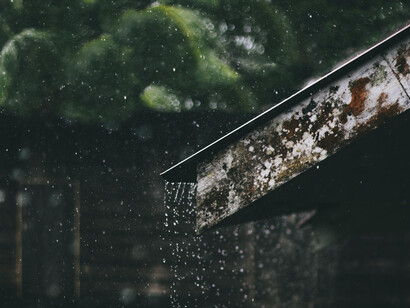 Incêndios e queimadas deixam o interior de São Paulo marcado por chamas e luto. Árvores retorcidas e cinzas mostram o efeito da ação humana na paisagem