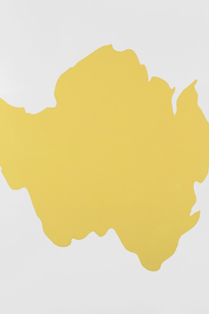 Frédérique Lucien, Île, 2001, Encre sur forex, 152 x 122 cm © Frédérique Lucien, ADAGP, Paris