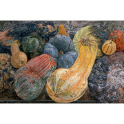 Ellen Altfest, Gourds, 2006-07, Oil on canvas, 19 x 38 in. (48.3 x 96.5 cm), Private Collection, Photo: Bill Orcutt, New York, Image courtesy White Cube © Ellen Altfest / White Cube