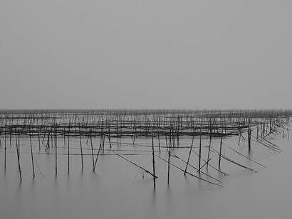 Whispering Tranquility. Courtesy of JanKossen Contemporary