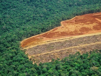 Bolsonaro fördert die Zerstörung des Amazonas-Regenwaldes
