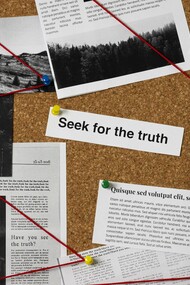 Everyone’s chasing conspiracies, except the detectives