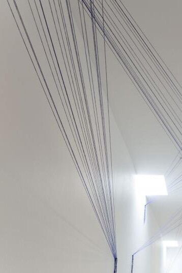 Dana Harris. Courtesy of Heide Museum of Modern Art