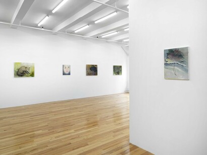 Autumn Ramsey, exhibition view. Courtesy of Paul Soto Gallery