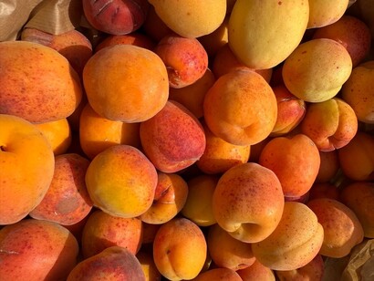 Coraggio promuove modelli agricoli biologici e inclusivi, con attenzione alla biodiversità, alla formazione e all’inserimento lavorativo. @Cooperativa Agricola Coraggio