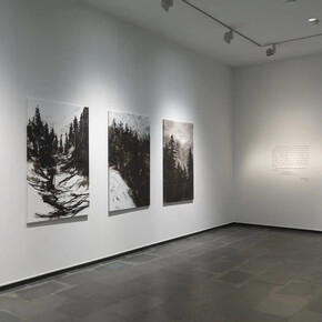 M. Ángeles Díaz Barbado, Tristán, vista de exhibición. Cortesía de la Galería Isabel Hurley