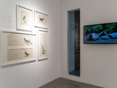 Varios artistas, Ciudad soñada, vista de exhibición. Cortesía de Museo de Antioquia 