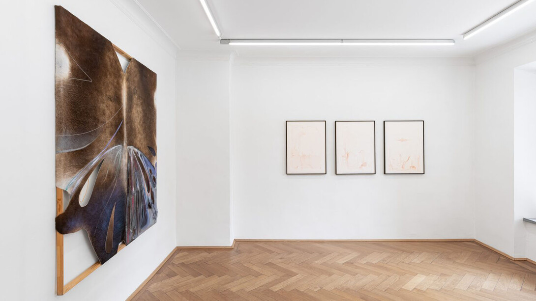 Tyler Eash und Laura Ní Fhlaibhín, Breaking / briseadh / wa’aidom, ausstellungsansicht. Mit freundlicher genehmigung der Britta Rettberg Galerie