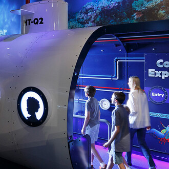 Colour. Secret language of the reef, exhibition view. Courtesy of Queensland Museum Tropics