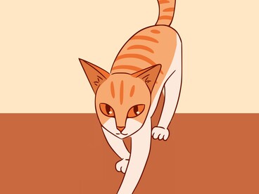 Ogni mattina do da mangiare ai gatti: forse sono loro, in fondo, a ricordarmi che casa significa condividere