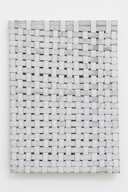 Jarbas Lopes. Elastica