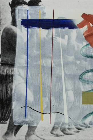 Carlos Noronha Feio, Native People of the Pacific World (detalhe), dispositif XXXVI , 2015
