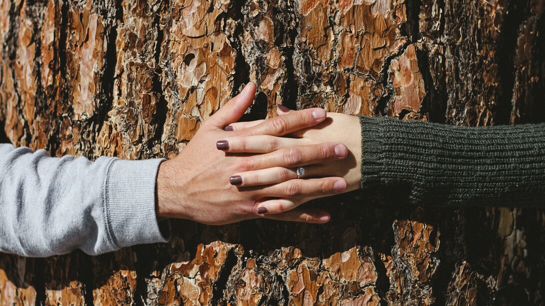 Diferenças entre o cérebro de um homem e de uma mulher