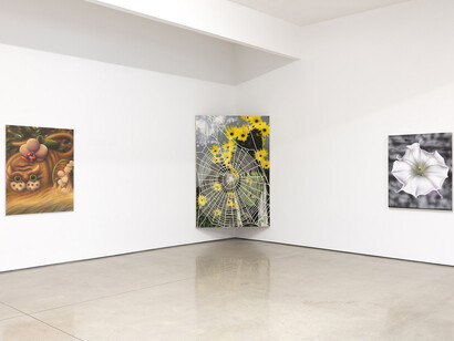 Various artists, Soft focus, exhibition view. Courtesy of The Hole  