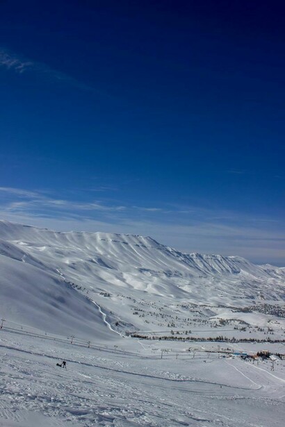 Cedars Valley