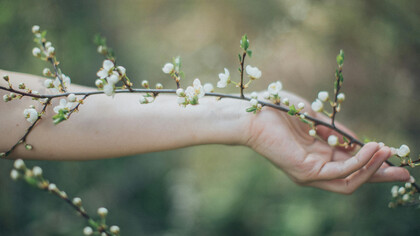 Descubra como navegar pela vida cotidiana, encontrando equilíbrio entre as responsabilidades e a busca por significado. Aprenda a aceitar o fluxo natural do tempo, permitindo que a vida aconteça sem perder sua essência