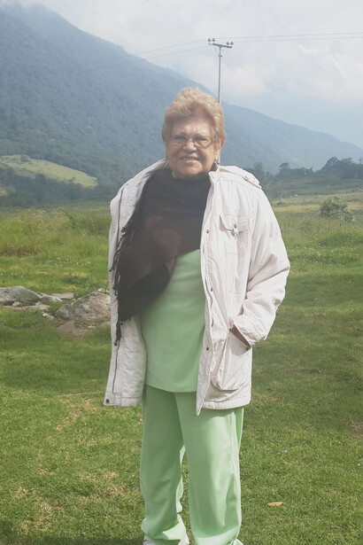 Florecillas blancas sobre una tela marrón