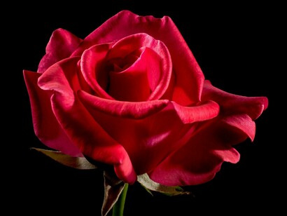 Illusions of love