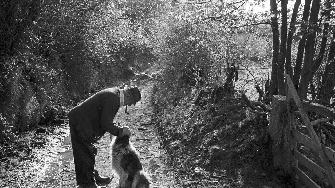 Archie Parkhouse and his Dog Sally, Photograph by James Ravilious, image courtesy of the Beaford Arhive © Beaford Arts