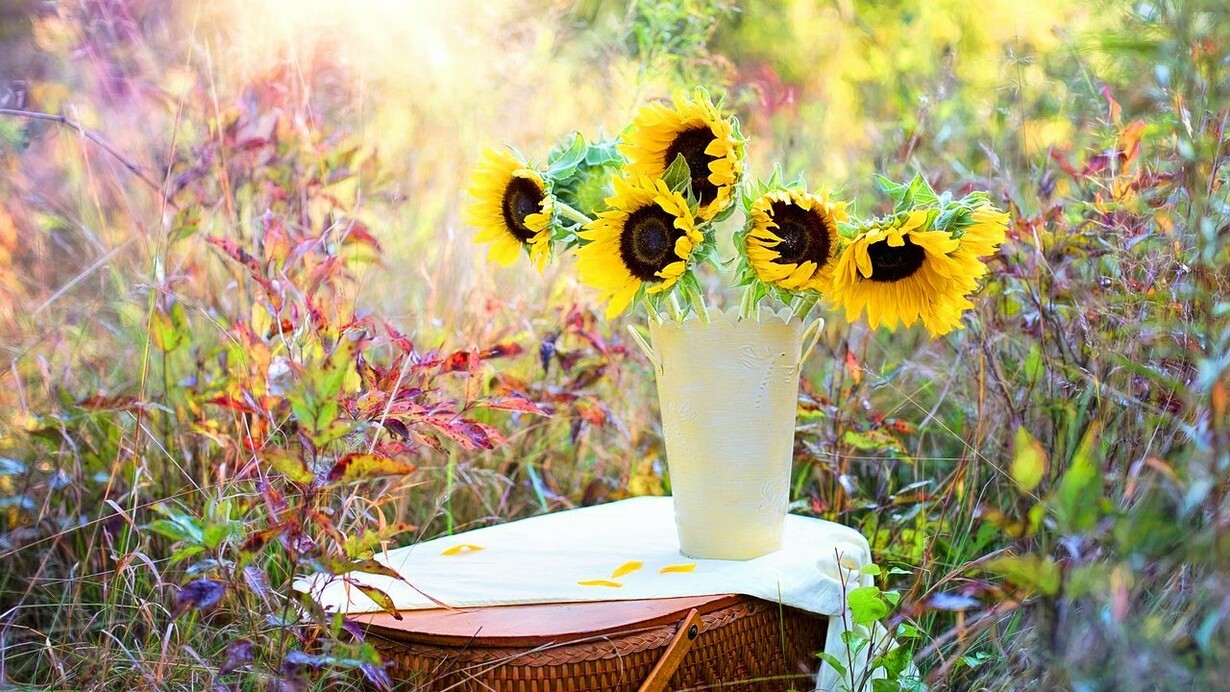 Apparecchiò sul tavolino in veranda, una tovaglia azzurrina tappezzata di margherite, due piatti di porcellana, due tazze dipinte a mano e un vaso di fiori raccolti. Sorseggiava in attesa
