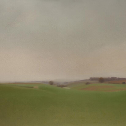 Gerhard Richter, Grünes feld (Green field) (detail), 1969. Courtesy of David Zwirner Gallery