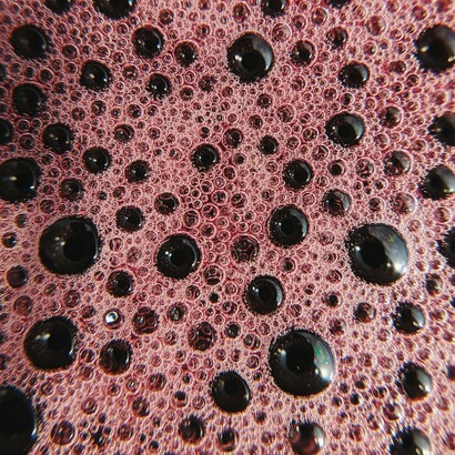 Dietro un processo apparentemente semplice si nasconde un delicato equilibrio tra tempo, microrganismi e ambiente, capace di modificare sapori, consistenze e valore nutrizionale degli alimenti