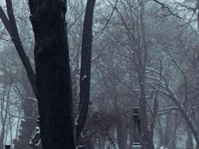 Tiempo gris en el cementerio