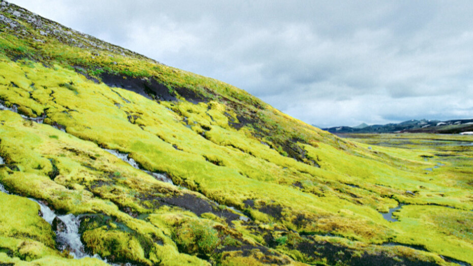 Unwired. Courtesy of Benrubi Gallery