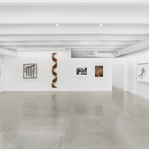 Various artists, The majesty of the elemental, exhibition view. Courtesy of David Castillo Gallery