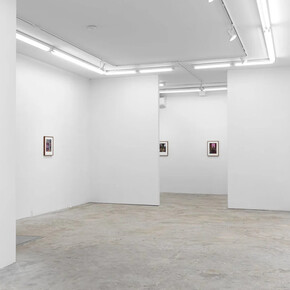 Jessie Makinson, A skeleton to share, exhibition view. Courtesy of Lyles & King 