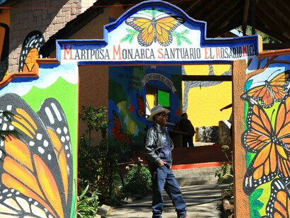 El Rosario Monarch Butterfly Sanctuary 