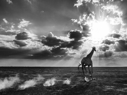 David Yarrow. Courtesy of Maddox Gallery
