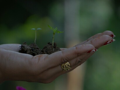 Two tiny seedlings, each rooted in a small mound of soil, rest in the open palm of a hand – simple things that can be incredibly grounding