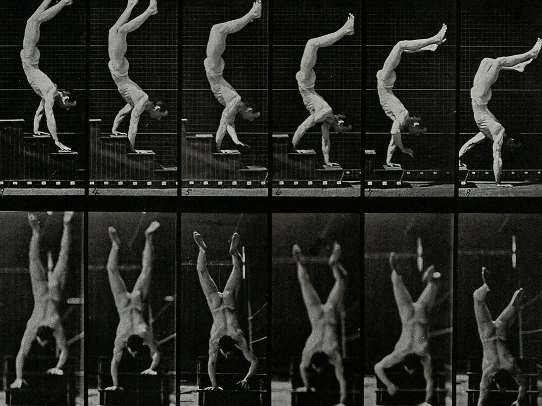 Eadweard Muybridge, Exhibition view. Courtesy of Galleria Credito Siciliano