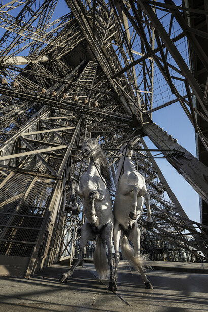 Paola Pivi, “Yee-Haw (si imbizzarriscono)”, 2015, Digital Print mounted on dibond and diasec. Photography by Hugo Glendinning / Photographie digitale montée sur dibond et
diasec. Photographie par Hugo Glendinning, 245 x 180 cm / 96 29/64 x 70 3/4 in, Courtesy Galerie Perrotin